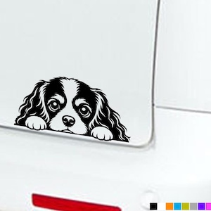 Könnte beinhalten: Ein schwarz-weißer Vinyl-Aufkleber, der einen Cavalier King Charles Spaniel zeigt, der über eine Kante schaut. Das Grafikdesign zeigt den Hund mit großen Augen, Schlappohren und nach vorne gerichteten Pfoten auf einer weißen Oberfläche.