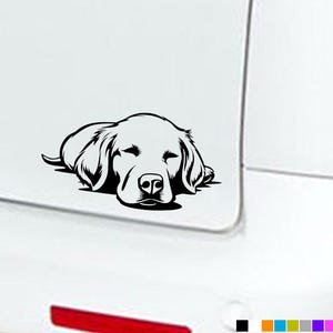 May include: Black and white silhouette of a sleeping dog. The dog is lying on its side with its head resting on its paws. The dog's eyes are closed and its mouth is slightly open.