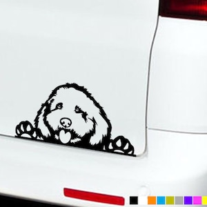 Puede incluir: Silueta en blanco y negro de un perro asomándose desde detrás de un coche blanco. El perro tiene la lengua fuera y mira hacia la derecha.