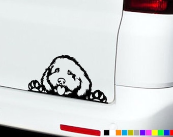 COCKAPOO DOG Car Sticker Decal Vinyl Bumper Window Funny Novelty
