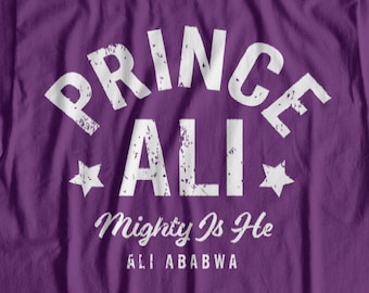 Prince Ali Shirt | Aladdin, Disney Vacation Tee