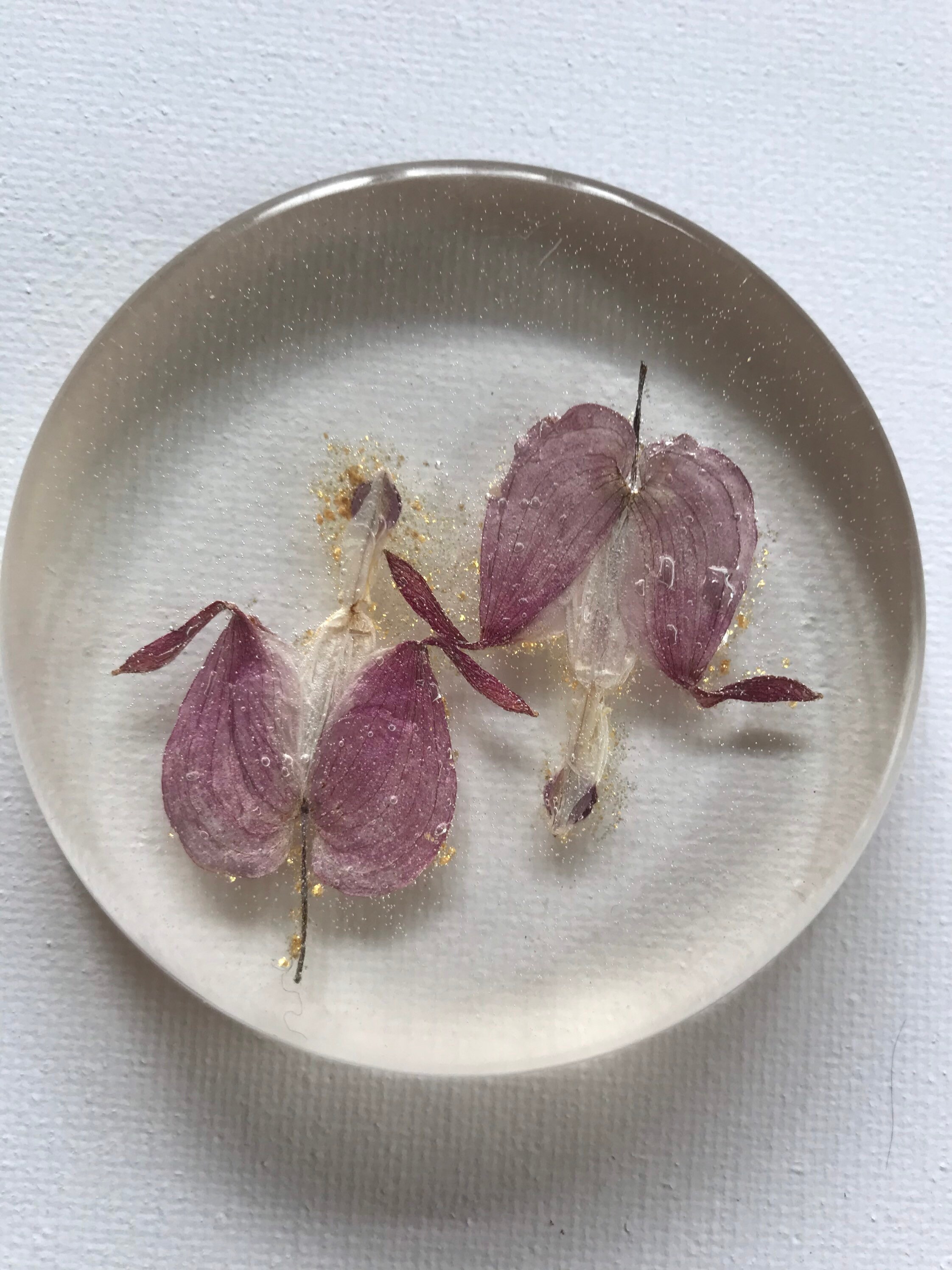 Dried flower paperweight Etsy.de