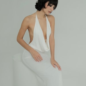 venus mesh dress Sleeveless Mesh Maxi Dress
