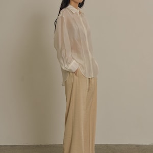 Elegant Shirt-collared Organza Sheer Shirt