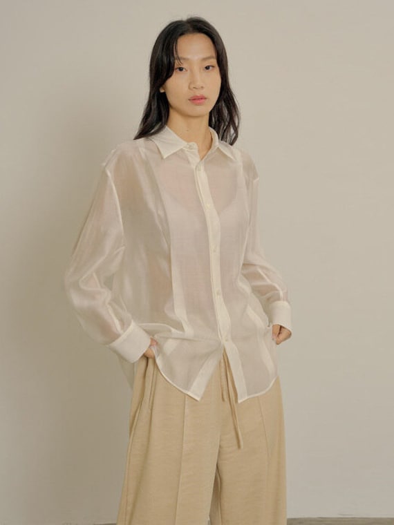 トップス eaphi volume sleeve sheer blouse beige 新品未使用 eaphi volume sleeve sheer blouse