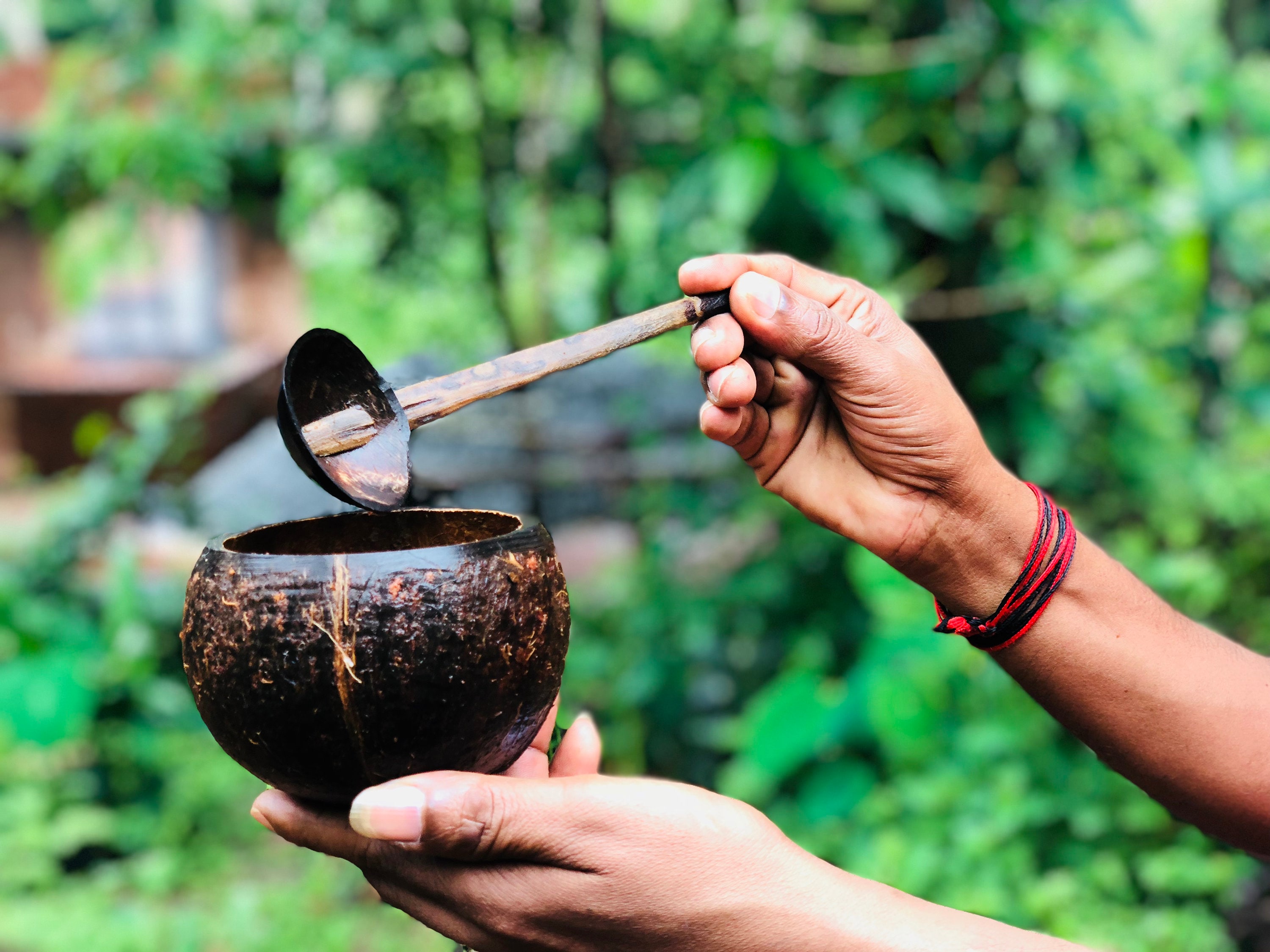 Coconut Shell Ladle Etsy