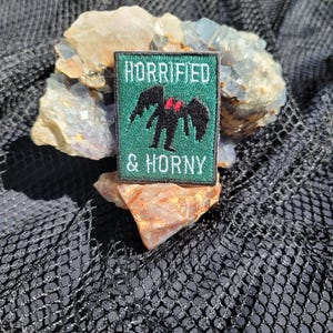 May include: Green embroidered patch with a black creature with red eyes and wings. The text "HORRIFIED & HORNY" is written in white.