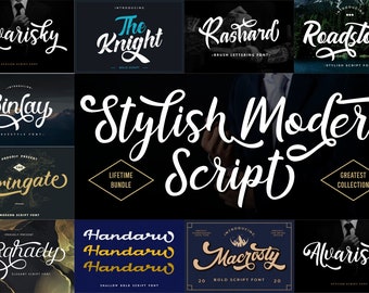 Stylish Modern Script Font Bundle - Procreate Font, Canva Font, Cricut Font, Apparel Font, Logo Font, Branding Font, Stylish Font, Logotype