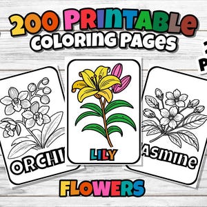 200 Flower Coloring Pages: Simple Art Designs for All Ages (PDF & PNG)
