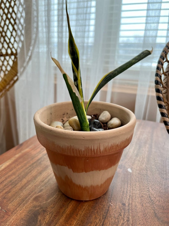 Unique on sale plant pots