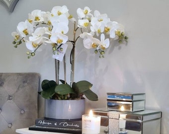 Azalea, White, Real touch Faux Orchid floral display, orchid arrangement, home accessories, mothers day