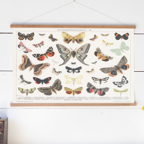 Vintage Peacock Canvas Wall Art Peacock Decor Hanging Etsy