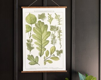 Antique Leaves Canvas Wall Hanging: Botanical Print Art | 253