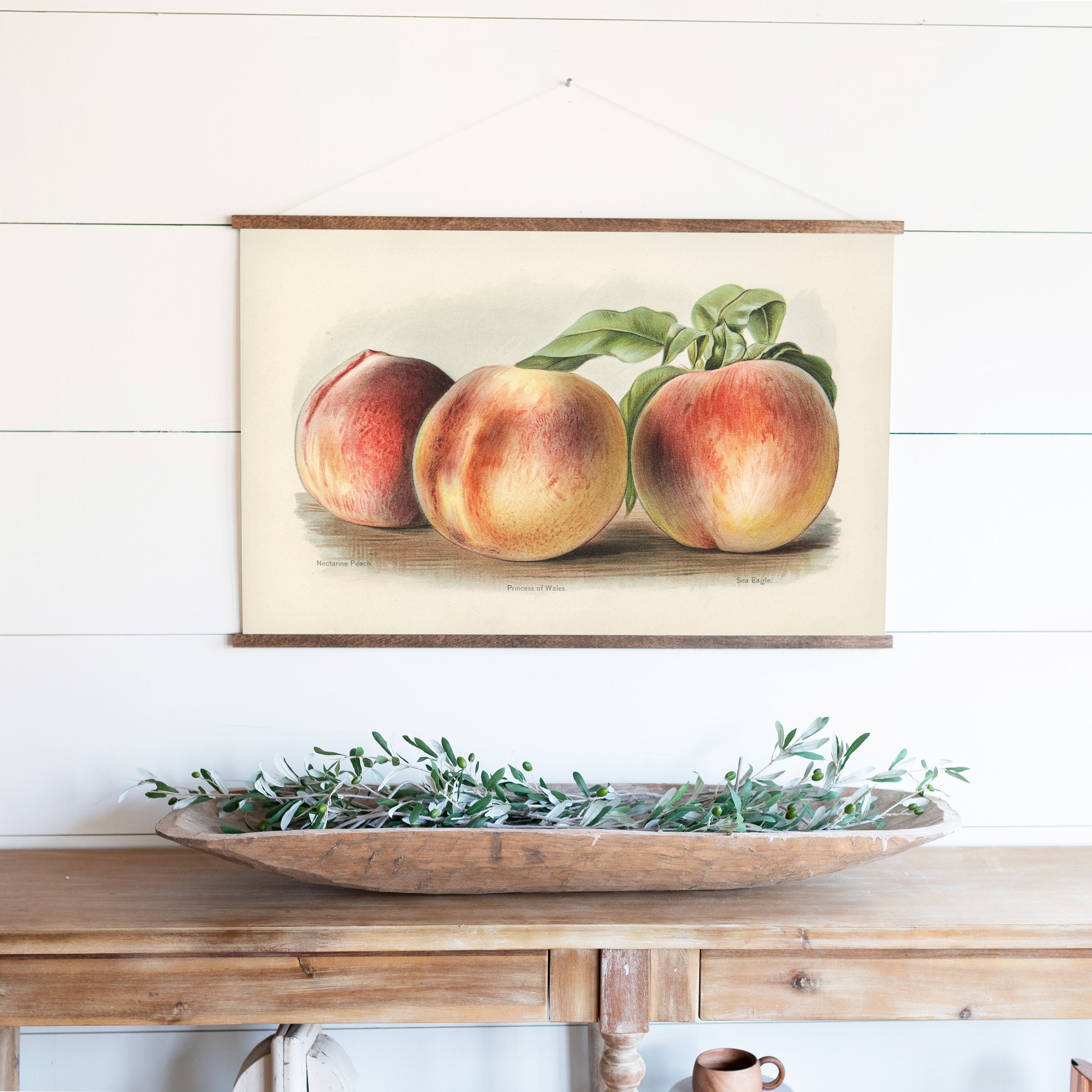 Peach Study Wall Art Canvas Wall Art Peach Artwork Etsy