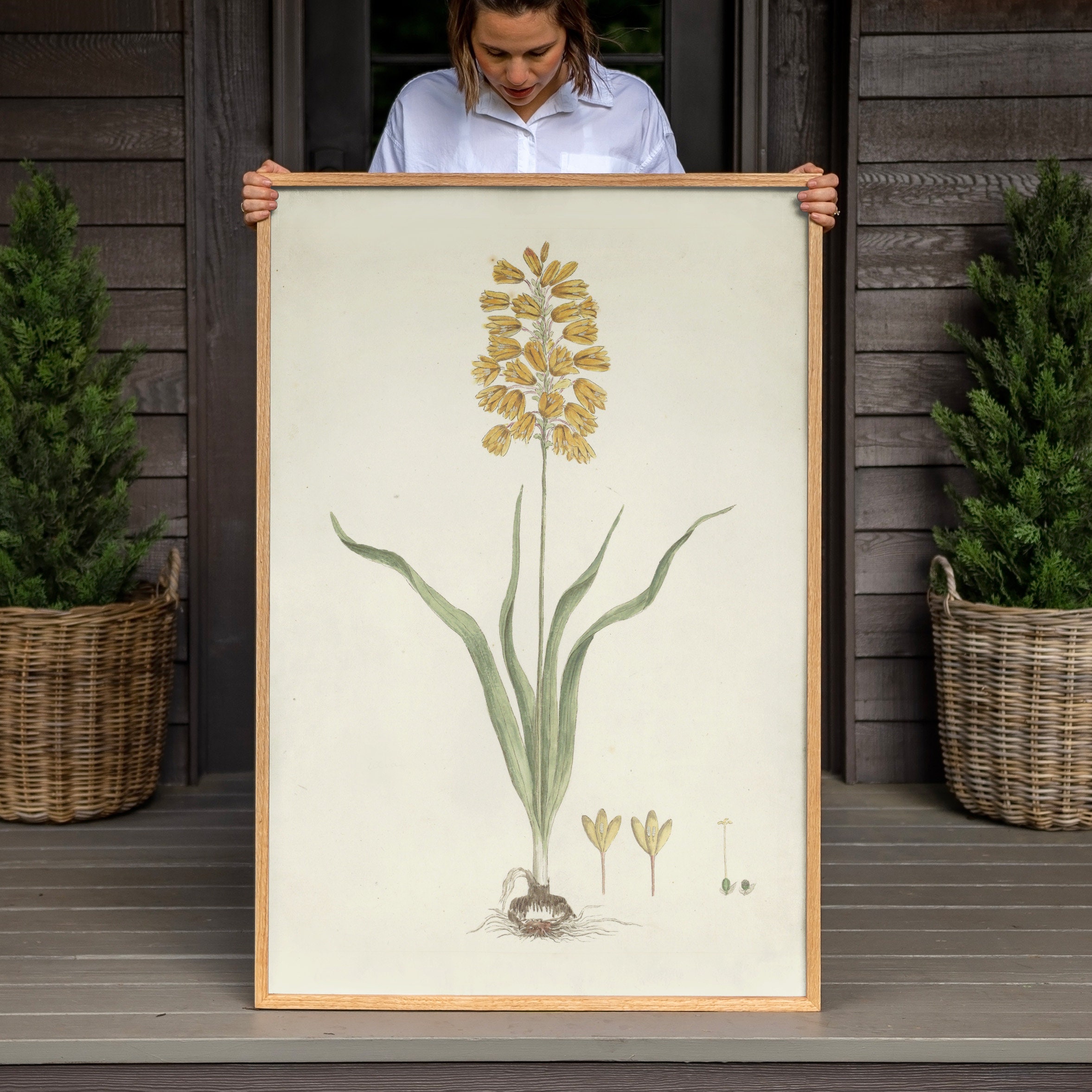 Botanical Wall Art | Framed Floral Wall Art | Botanical Print On Canvas | Botanical Wall Decor | F409