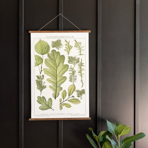 Antique Leaves Canvas Wall Hanging: Botanical Print Art | 253