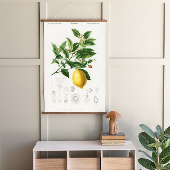 Lemon Botanical Print: Cotton Canvas Hanging, Living Room Sign | 244