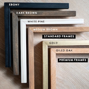 May include: A variety of picture frames in different colors and wood finishes. The frames are arranged in a staggered pattern, with the largest frame at the top and the smallest frame at the bottom. The frames are labeled with their names, including Ebony, Dark Brown, White Pine, Medium Brown, Gold, Oiled Oak, and the text "Standard Frames" and "Premium Frames".