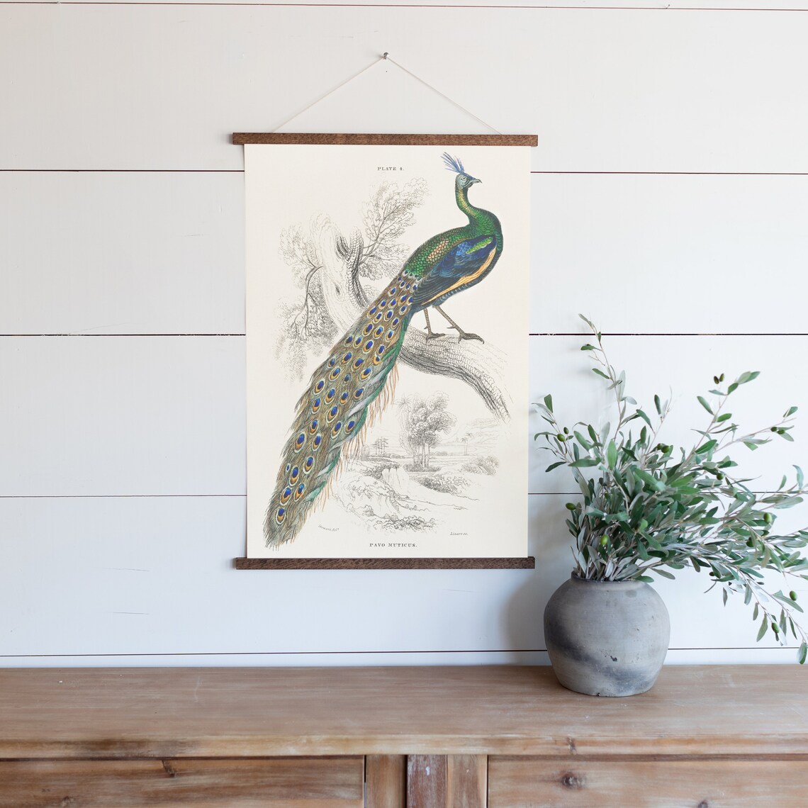 Vintage Peacock Canvas Wall Art Peacock Decor Hanging Etsy