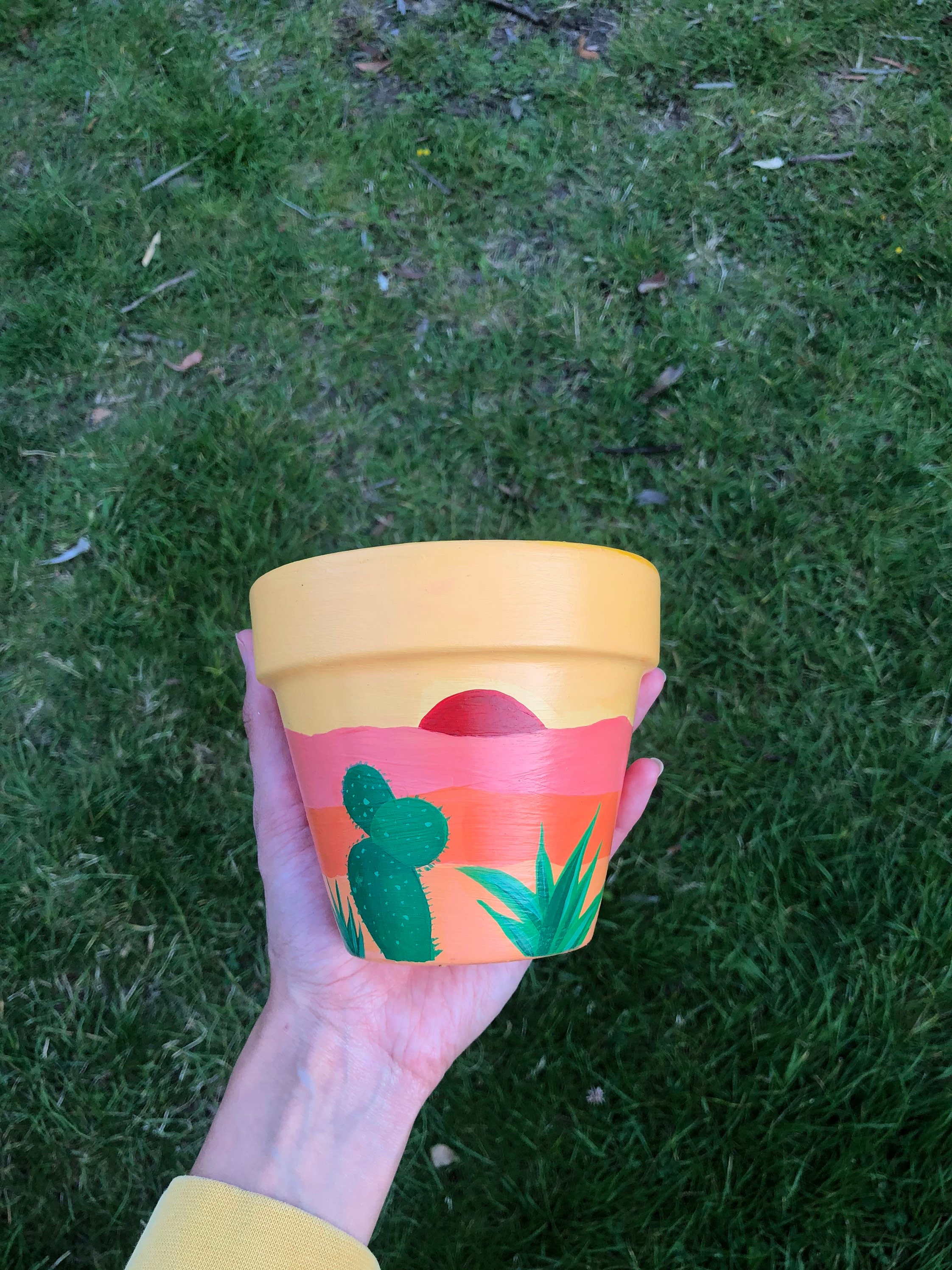 Hand Painted Plant Pots Etsy