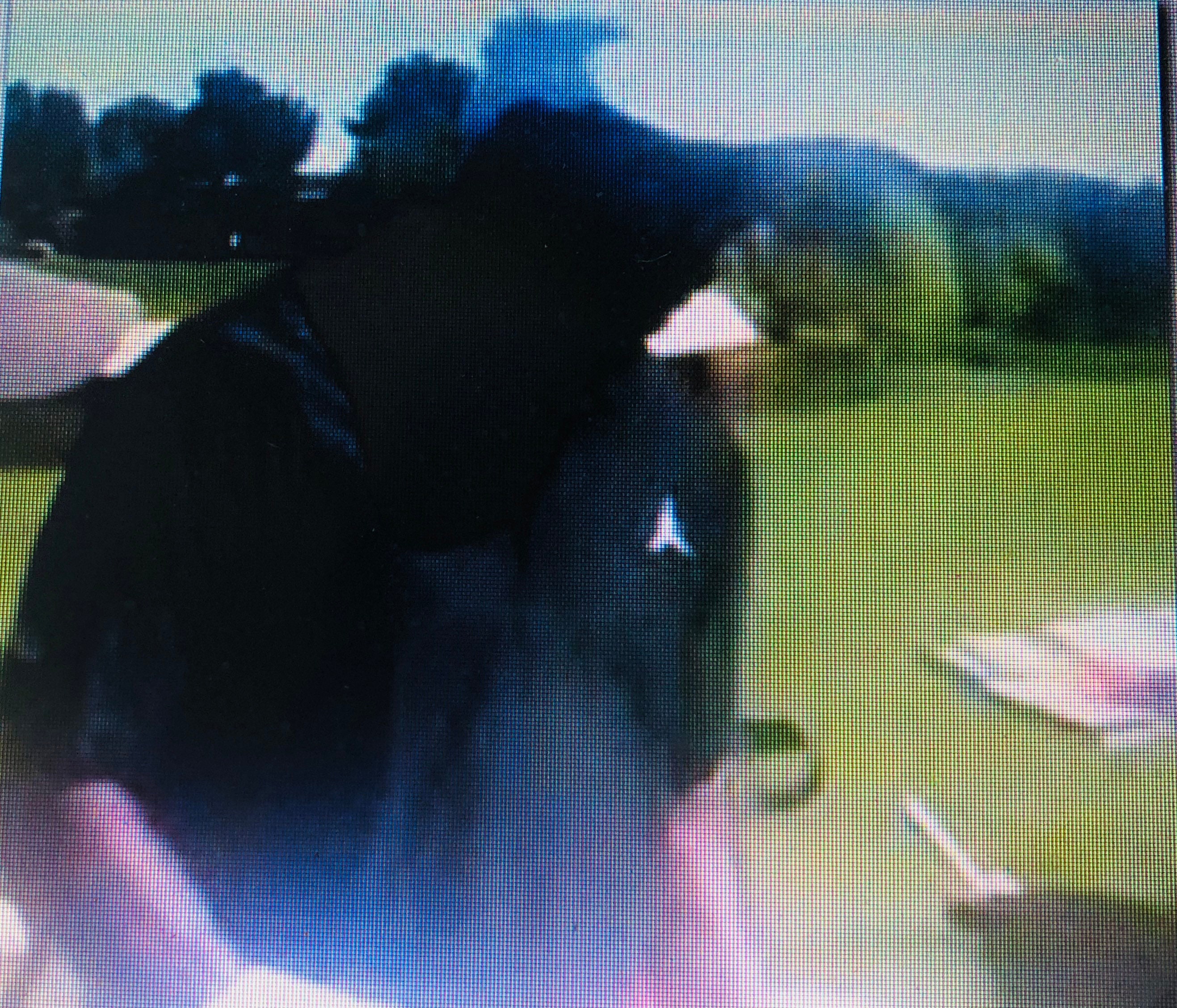 michael jordan chicago bulls jersey