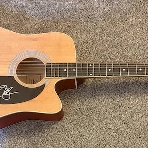 May include: A light-colored acoustic guitar with a cutaway body, a dark brown pickguard featuring a white signature, a dark fretboard with circular inlays, and a reddish-brown headstock with the brand name "St. Larry" printed in white script.