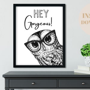 May include: Black and white illustration of an owl wearing glasses with the text "Hey Gorgeous!" printed above the owl.