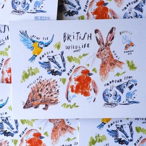 postale britannique de faune | Postcrossing britannique, courrier postal heureux, voyage en Europe, art en Angleterre