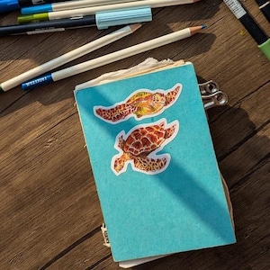 Lot de deux autocollants tortue | Sticker tortue verte | Sticker tortue imbriquée | Illustration de la faune