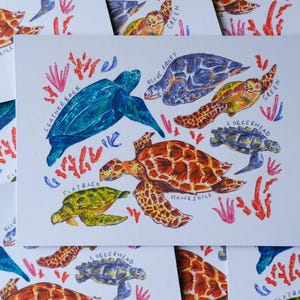 Peut inclure: Illustration à l'aquarelle de différentes tortues marines, dont des tortues luth et imbriquées, avec des éléments de corail. Les tortues sont étiquetées avec leurs noms. L'œuvre est sur fond blanc.