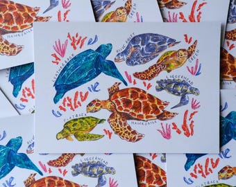 postale de tortue | Après la traversée, Happy Snail Mail, Voyage en Asie, Art animalier