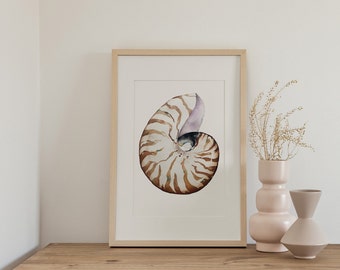 Nautilus Shell Art, Sea Shell Print, Watercolour Shell, Nautical Print, Beach House Shell Wall Art, Bedroom Print, Ocean wall Art