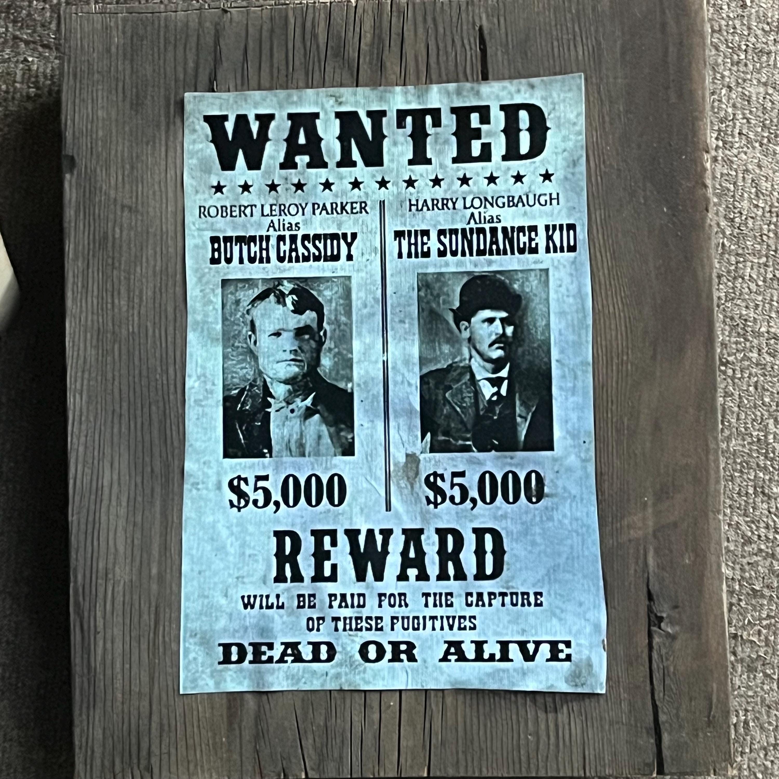 邦楽 WanteD! WanteD! WanteD! WanteD! - EP - Mrs. GREEN APPLEのアルバム - Apple Music