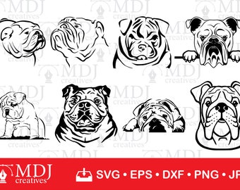Download American Bulldog Svg Etsy