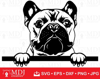 English Bulldog SVG, Peeking English Bulldog SVG, Cute American Bulldog, Bulldog Clipart, Instant Download, Cricut, Silhouette, svg, dxf