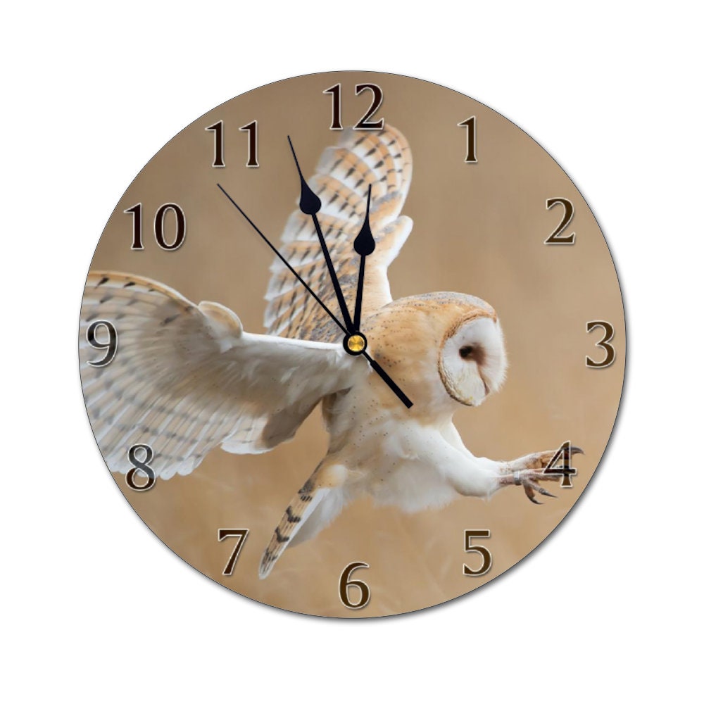 10.5 Barn Owl Clock Personalized Wall Hanging Custom - Etsy