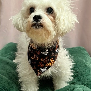 May include: A small white dog with curly fur wearing a black bandana with a brown, orange, and white animal print. The dog is sitting on a green fuzzy surface.
