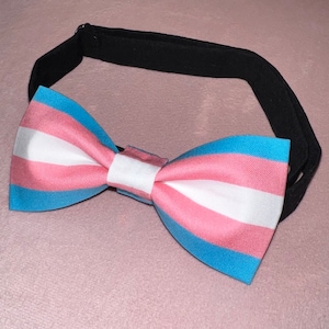 May include: A blue, pink, and white striped bow tie with a black elastic band.