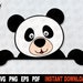 Peeking Panda Bear SVG Cut File, Split Monogram SVG, Bear Svg File for ...