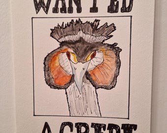 RECHERCHE : UN Grèbe