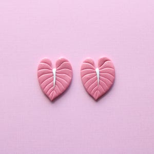 Shimmery Pink Anthuriums