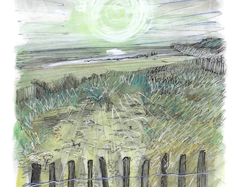 Winter sunlight over paling fence