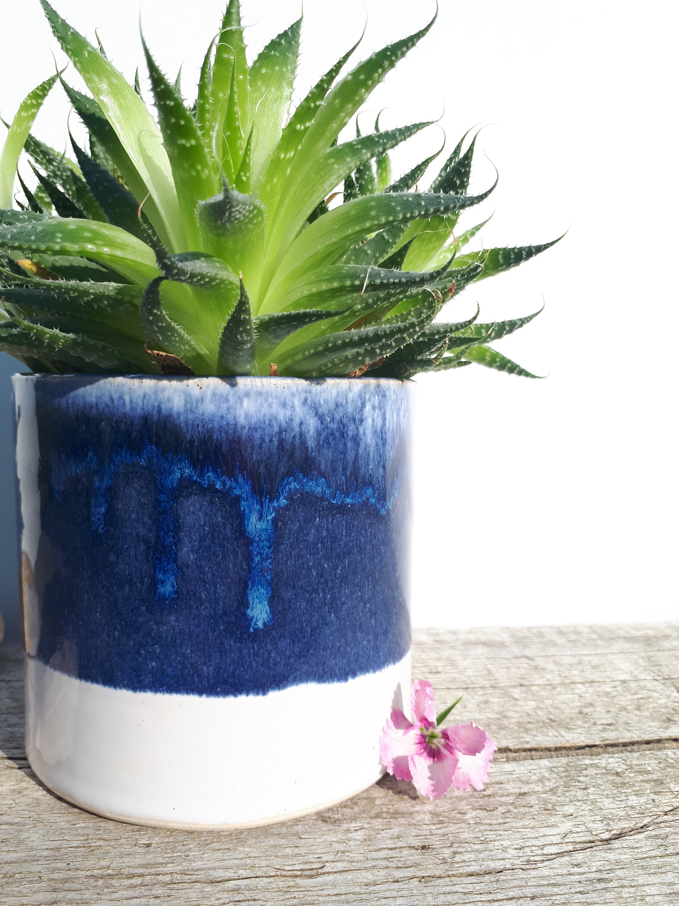Dark Blue Glazed Plant Pot. Beachy Blue Planter With a Etsy UK