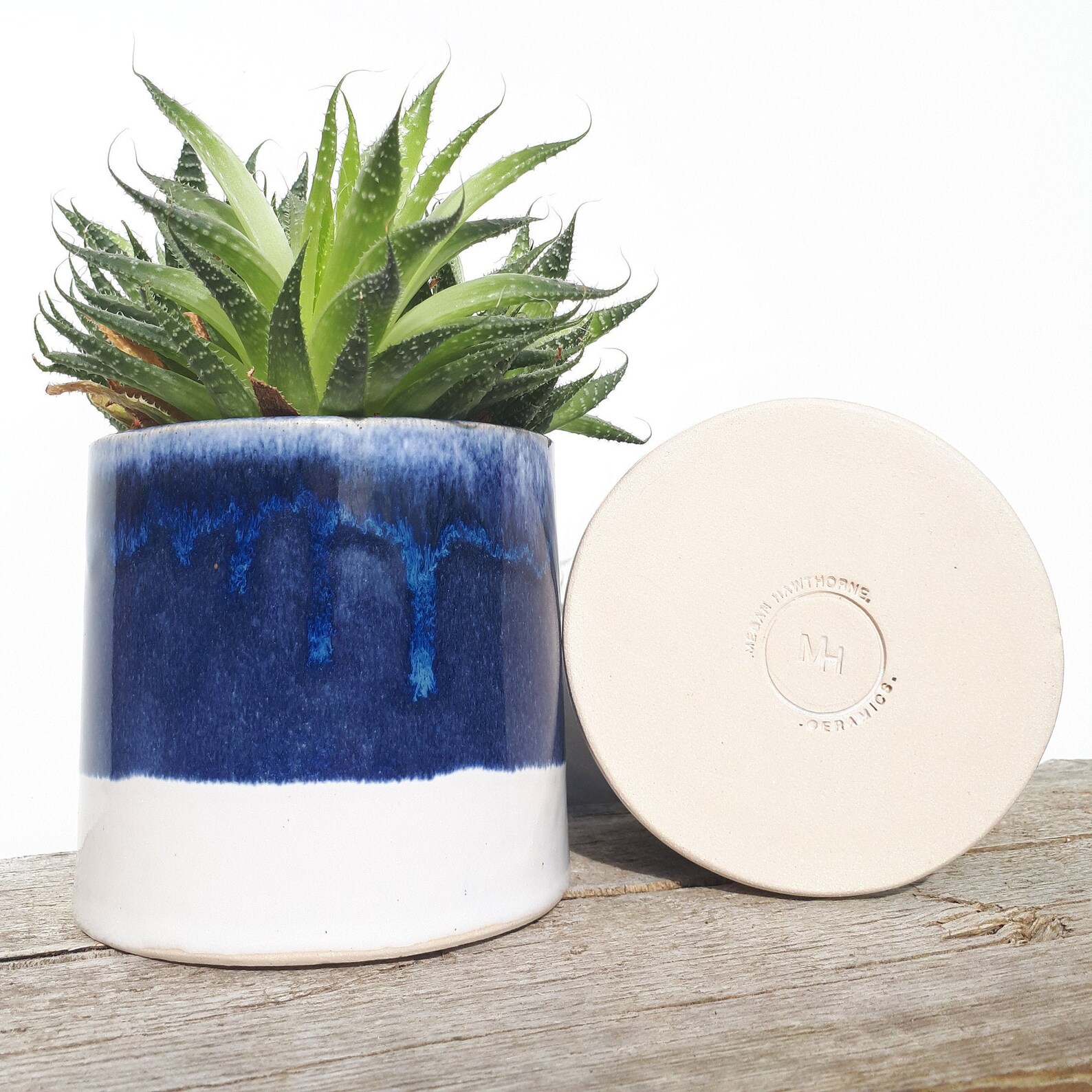 Dark Blue Plant Pot