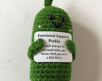 Emotional support pickle for encouragement and anxiety relief, handmade crochet in green and black holding plaque ‘Big dill’ gift