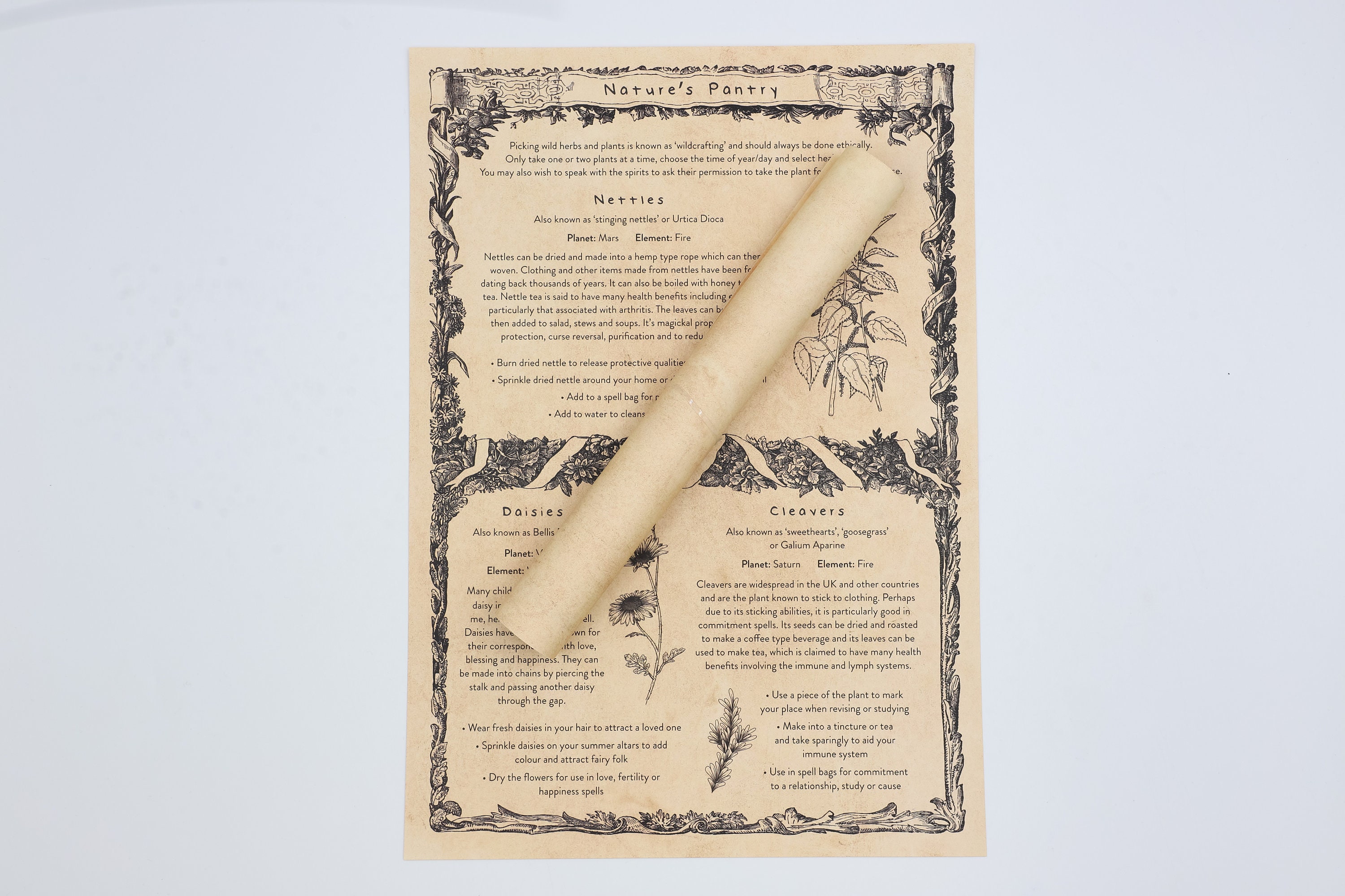 Real Parchment for Calligraphy, Painting, Printing, Bookbinding in Various  Sizes and Tones Vellum Goatskin Parchment 