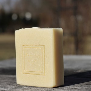 Avocado Cilantro Lime Bar