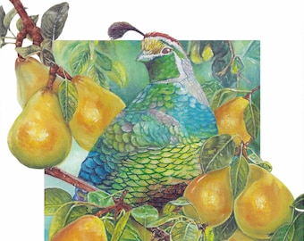 Partridge in a Pear Tree