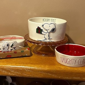 Rae Dunn x Peanuts Snoopy Christmas Dog and cat food/water bowls - Charlie Brown