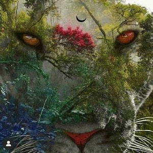 Könnte beinhalten: Ein digitales Kunstwerk, das eine Nahaufnahme eines Tigergesichts mit einer üppigen grünen Dschungelszene zeigt, die über das Tigergesicht gelegt ist. Die Augen des Tigers sind leuchtend orange, und die Dschungelszene ist voller leuchtender grüner, blauer und roter Farben.